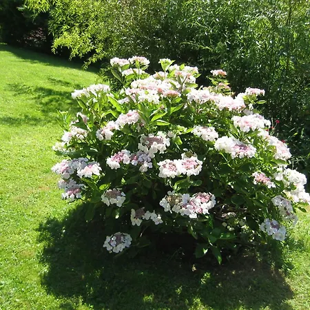 Haus Fernblick Feriehus Badenweiler